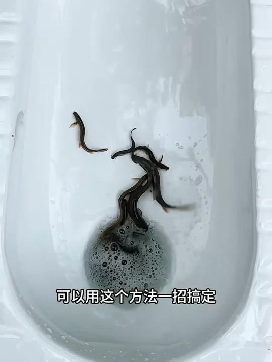 广州市越秀区疏通清淤改造十大明码标价企业榜
